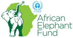 Aef logo a61911ae10b2d0a98a6bae3a4b5a182015a47030ab2a43ae964b68327f29cec6