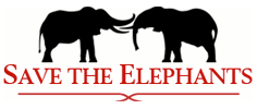 Ste logo 23864d7c13adcb0eca8bd8df65b238b7e66b53e8ff34152879a9a80f99839b5e