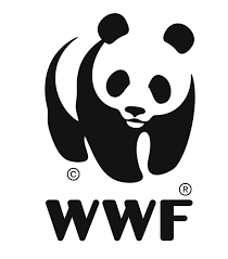 Wwf logo 8fc19326bd08bfd9b9889802707f69109855b4fac8a2e62e688630eb782a66e5